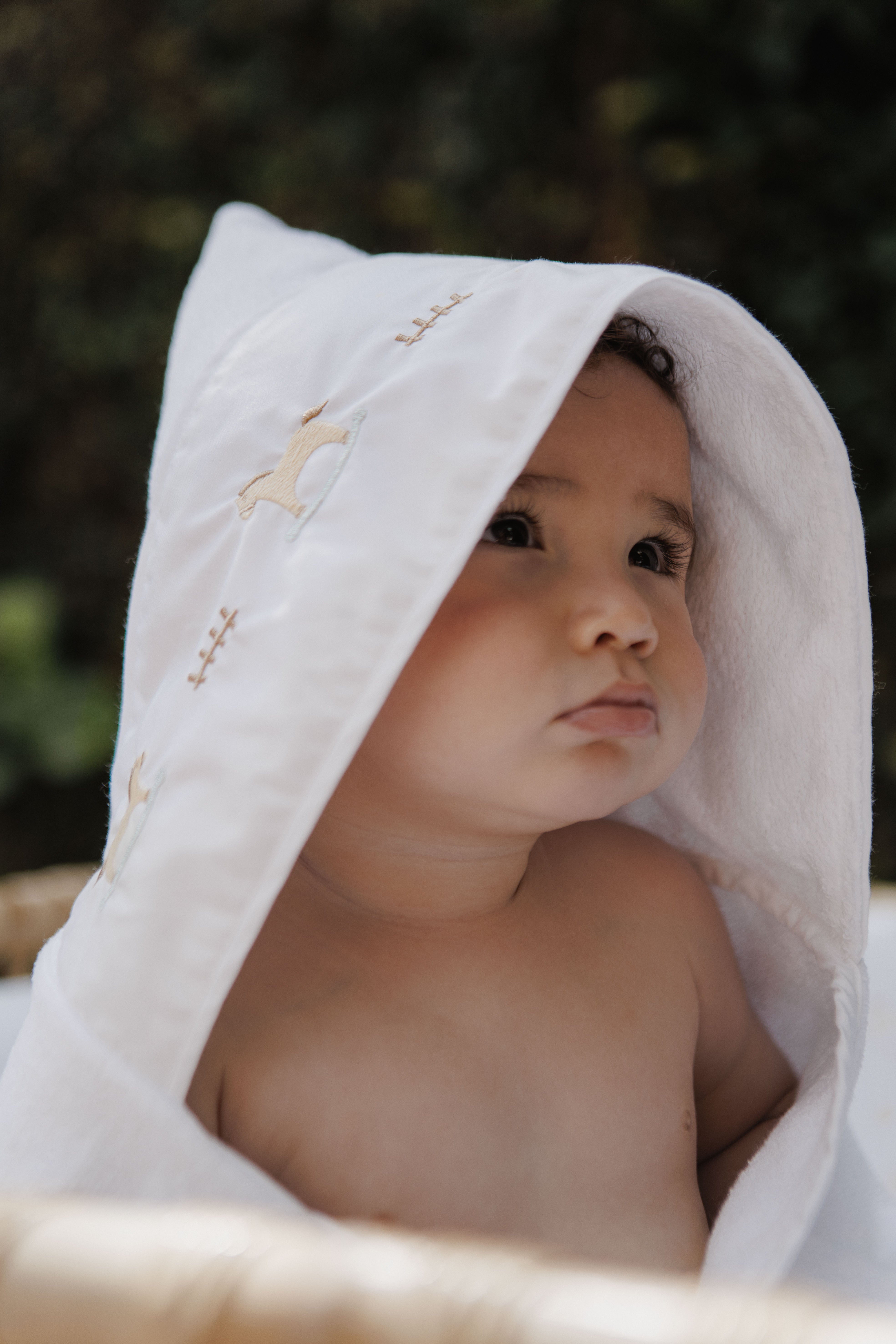 TOALHA COM CAPUZ BORDADA CAVALINHO