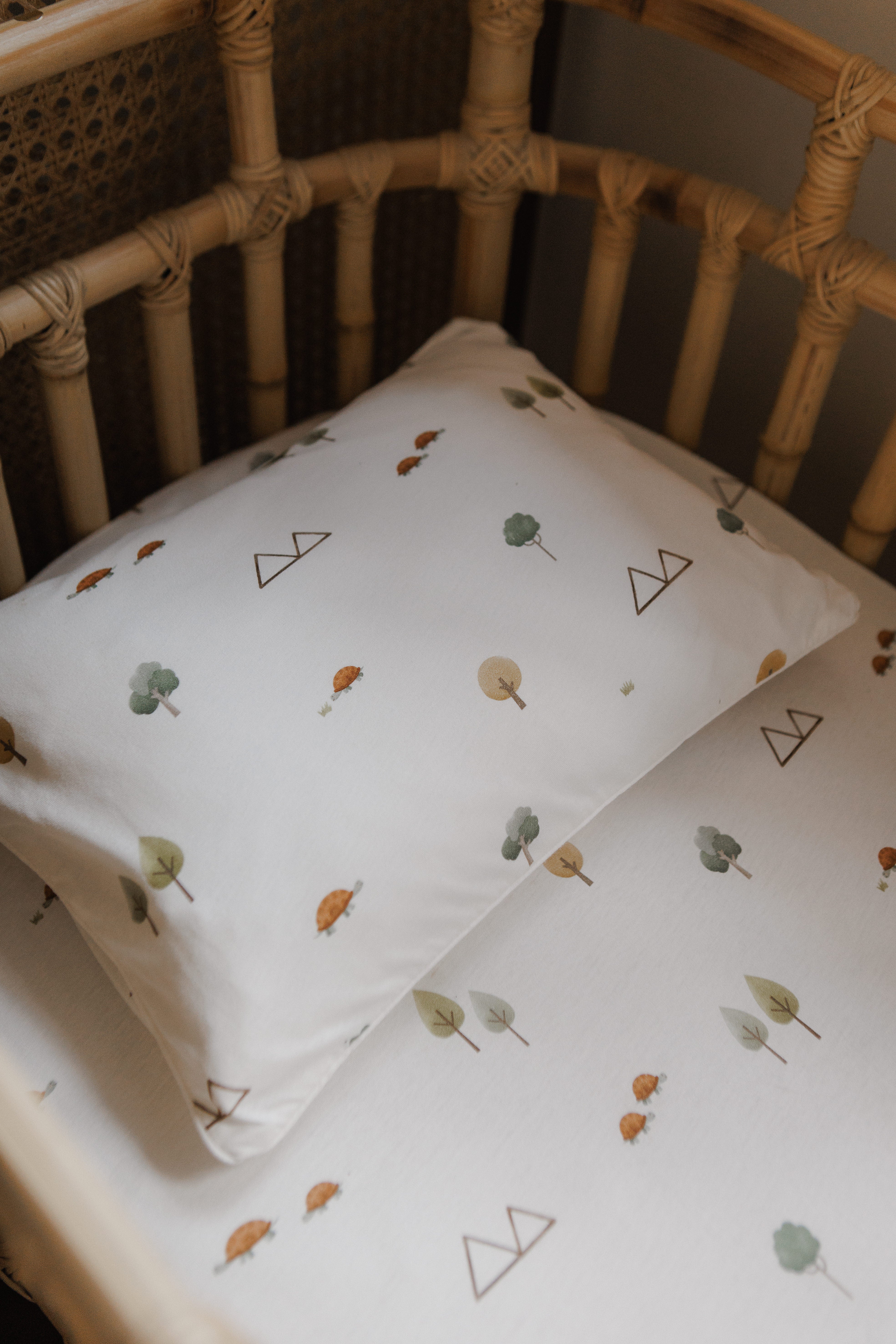 FRONHA AVULSA 0,30 x 0,40 - JABUTI