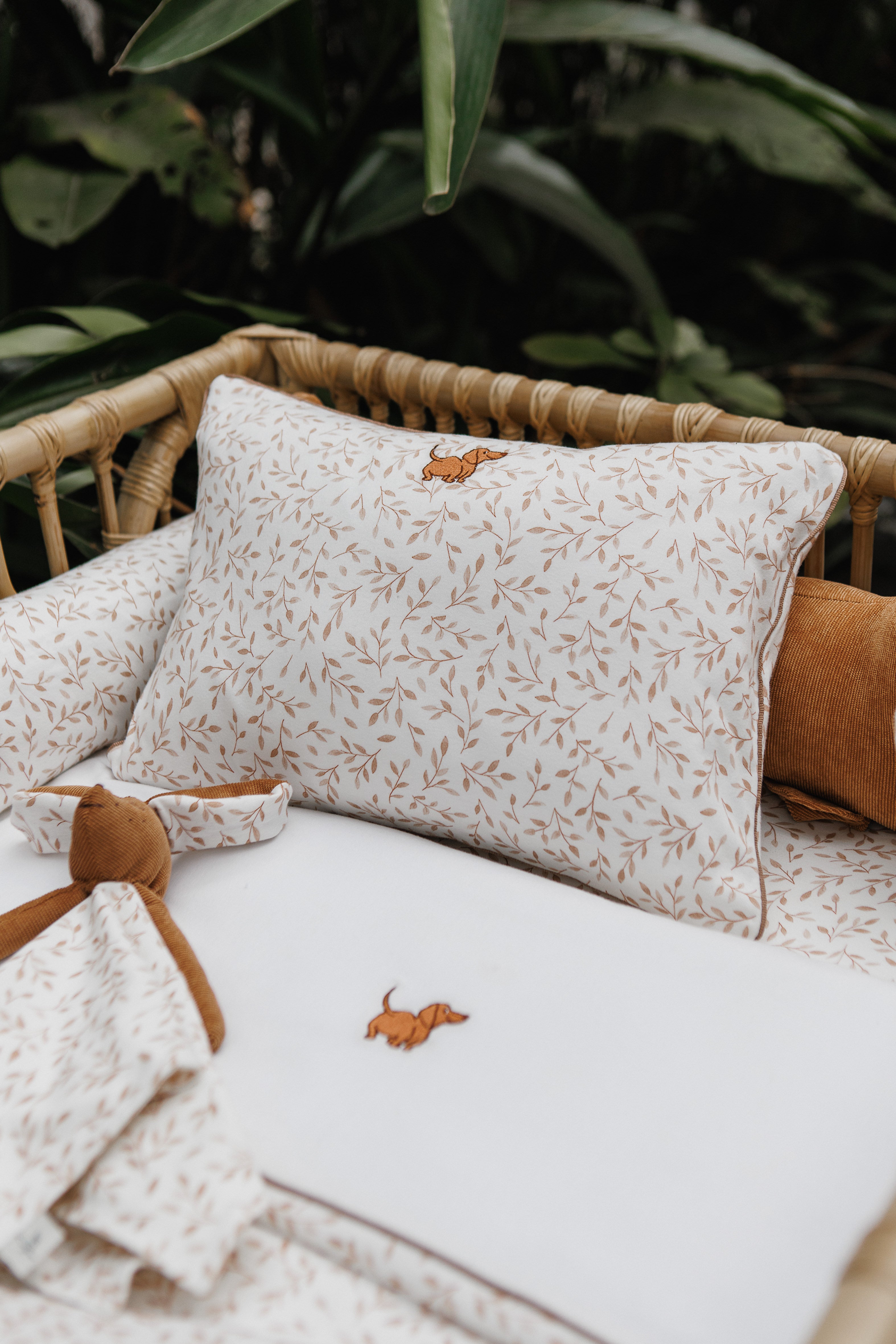 Fronha avulsa Basset